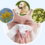 allergies-all-off